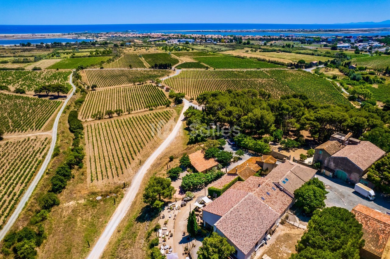 Vue aérienne d'un domaine viticole entouré de vignes, avec un village et la mer visibles à l'horizon.
