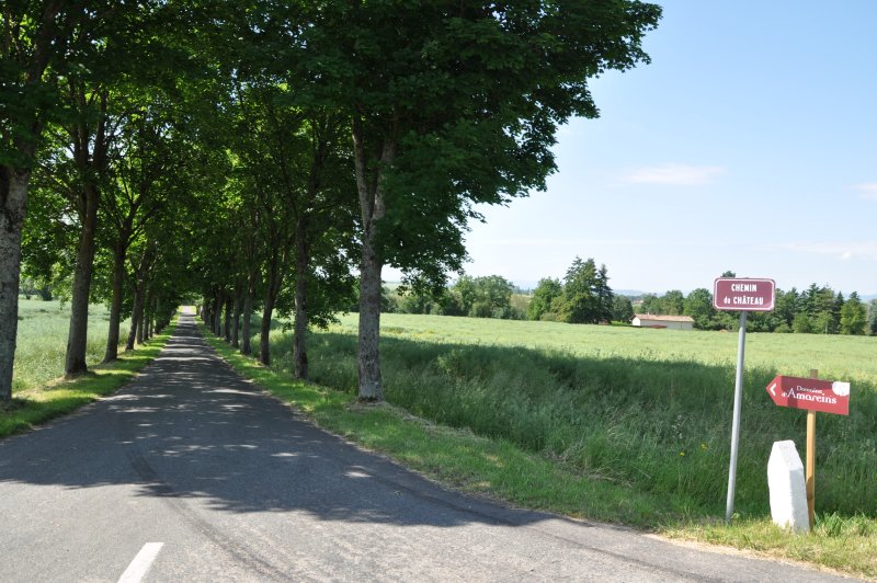 Domaine d'Amareins - photo 2