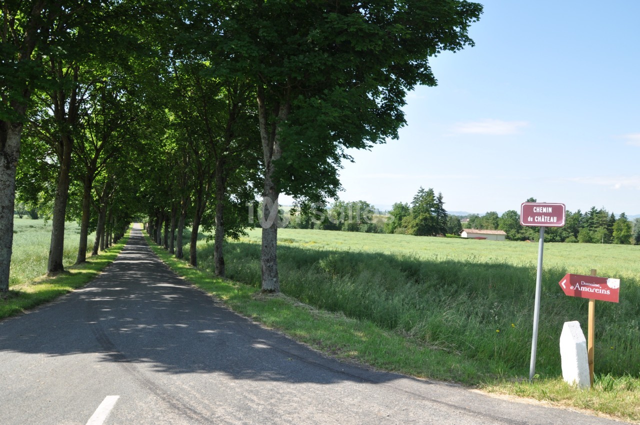 Domaine d'Amareins - galerie - photo 2