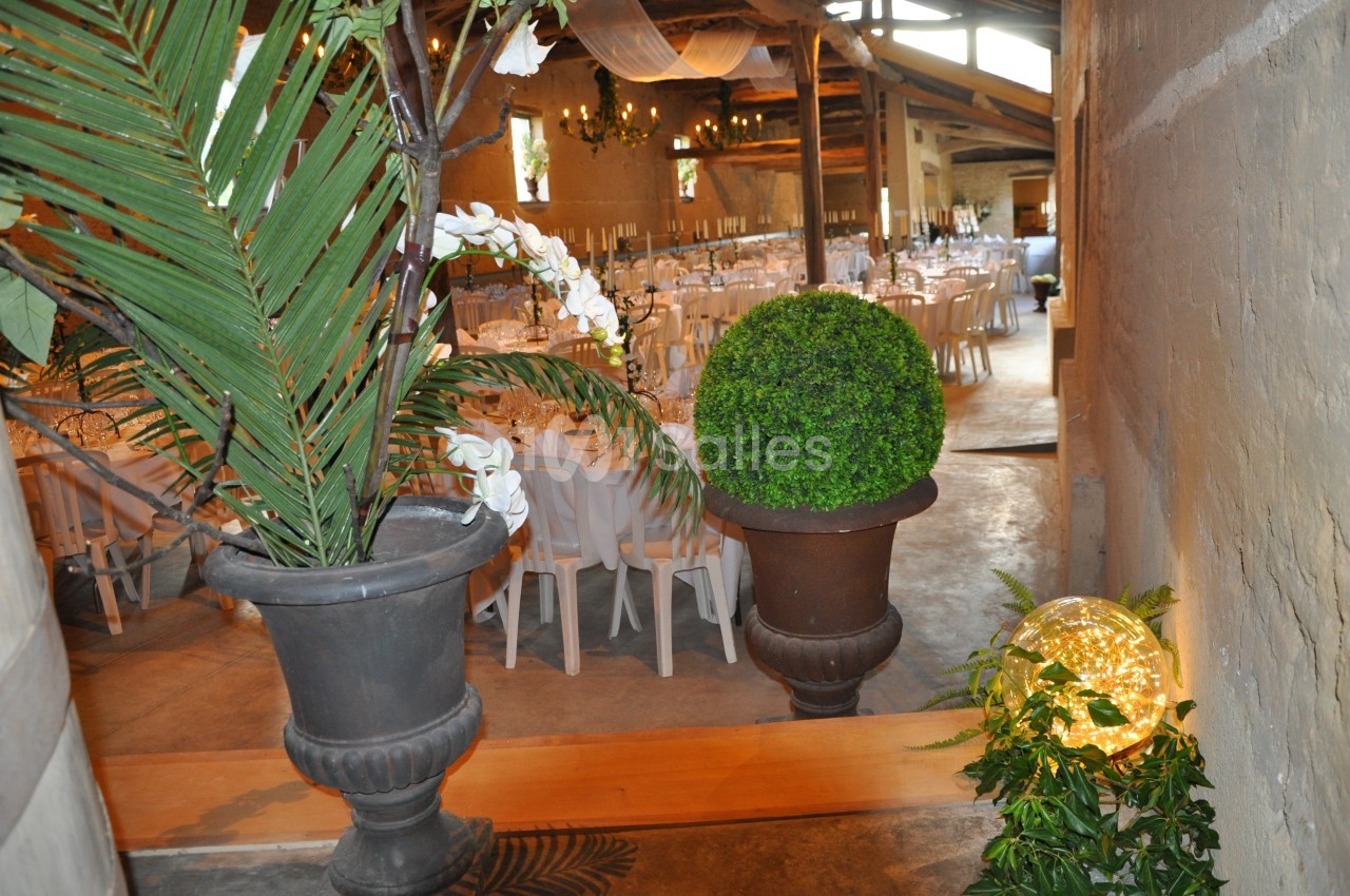Domaine d'Amareins - galerie - photo 39