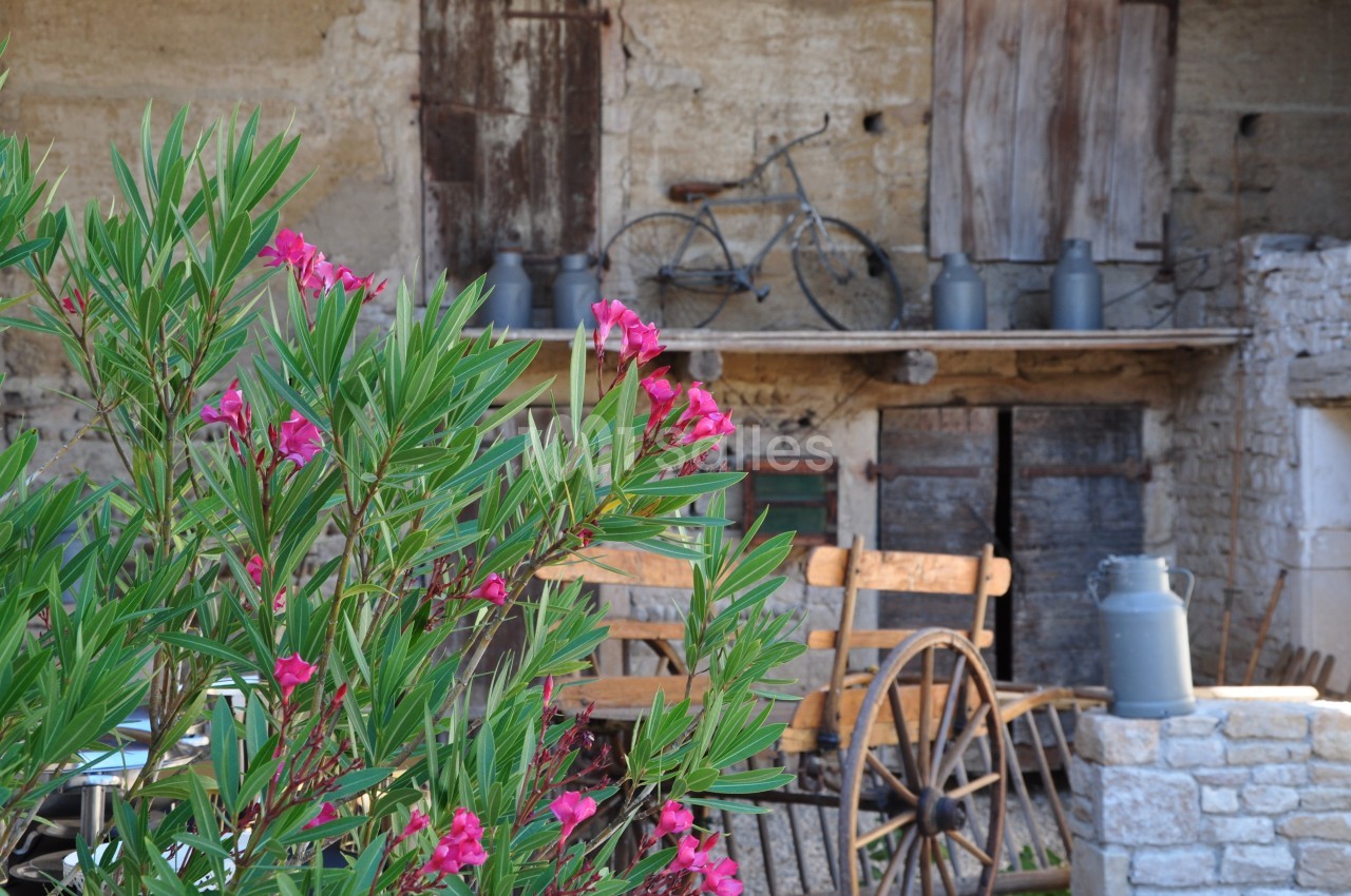 Domaine d'Amareins - galerie - photo 54