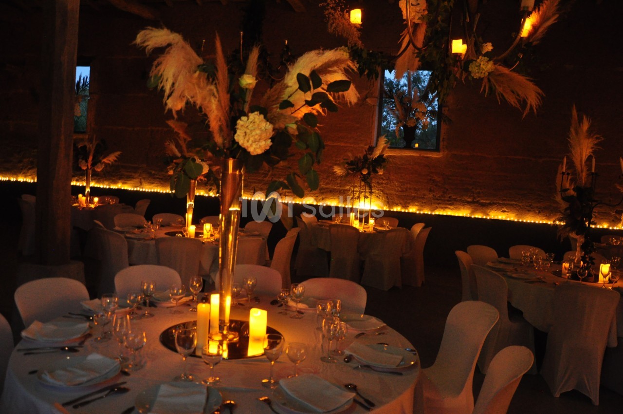 Domaine d'Amareins - galerie - photo 58
