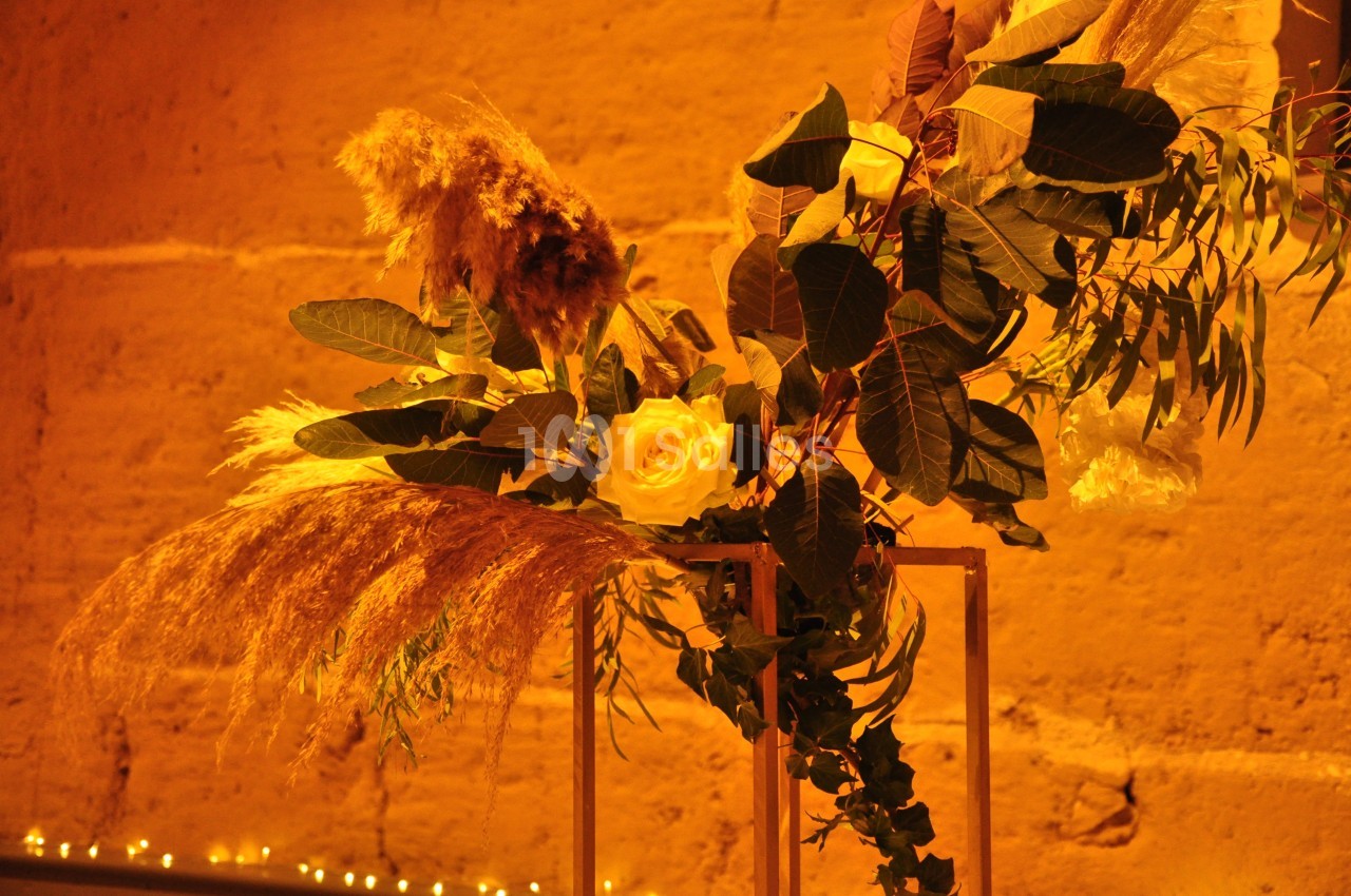 Domaine d'Amareins - galerie - photo 59