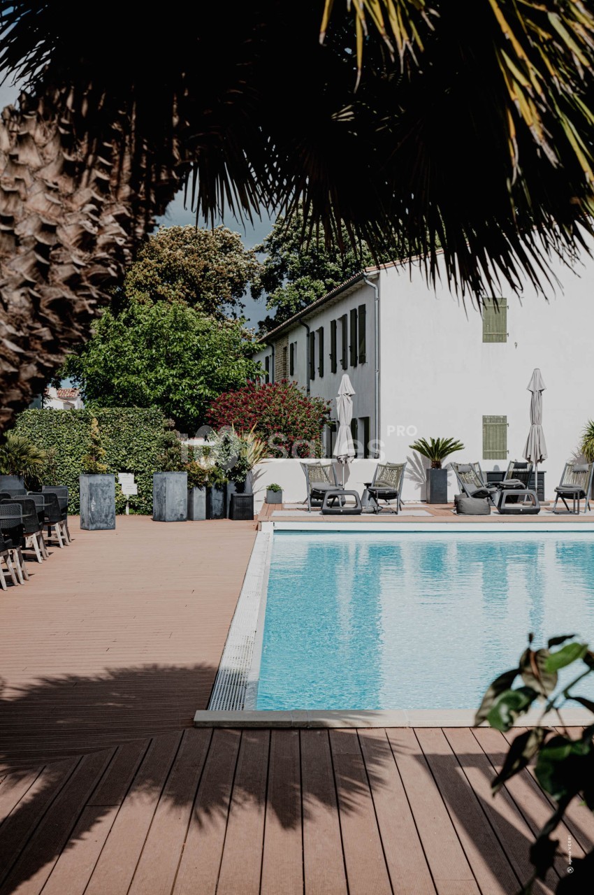 Piscine extérieure entourée de chaises longues, parasols et végétation, avec une maison blanche en arrière-plan.