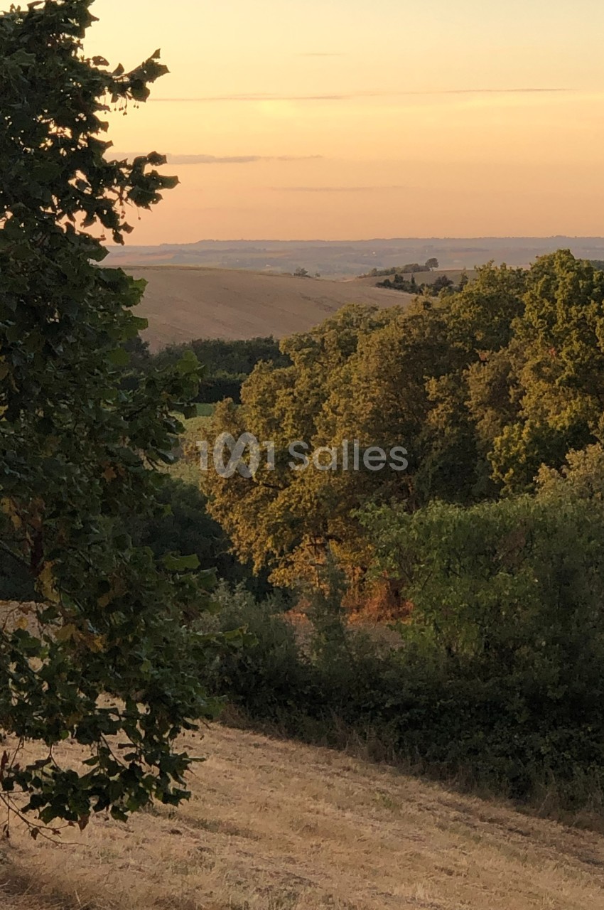 Paysage de campagne au coucher du soleil avec des collines, des arbres et un champ fauché au premier plan.