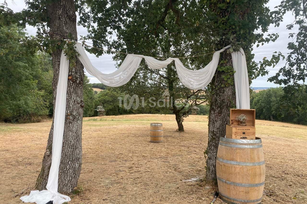 Deux arbres reliés par des drapés blancs formant une arche dans un champ, avec des tonneaux en bois à proximité.