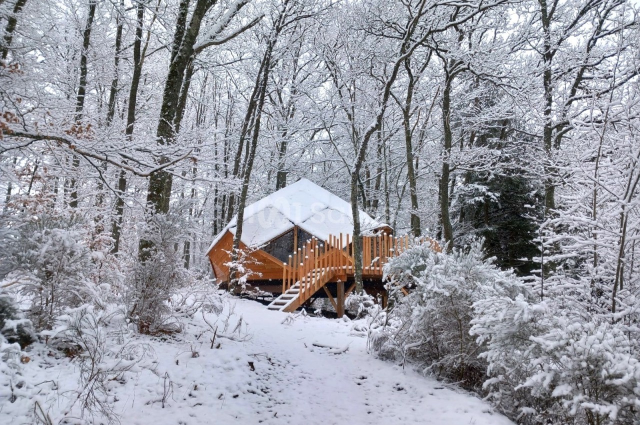 Cabane en bois hexagonale au milieu d'une forêt enneigée, entourée d'arbres et d'un sentier couvert de neige.
