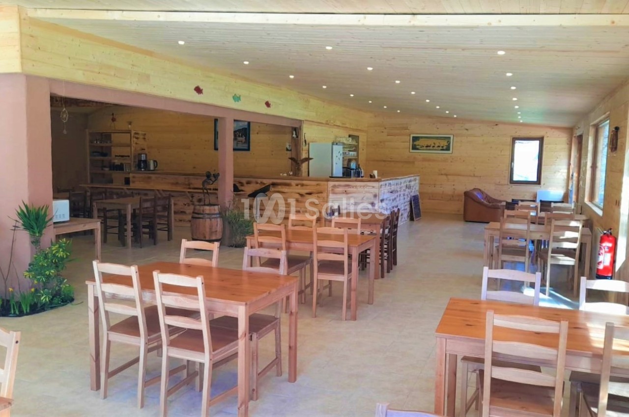 Salle lumineuse avec des tables et chaises en bois, décorée de plantes et éclairée par des spots au plafond.