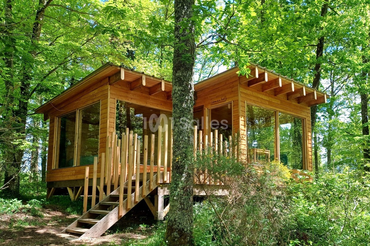 Cabane en bois moderne avec grandes baies vitrées, entourée d'arbres dans une forêt verdoyante.