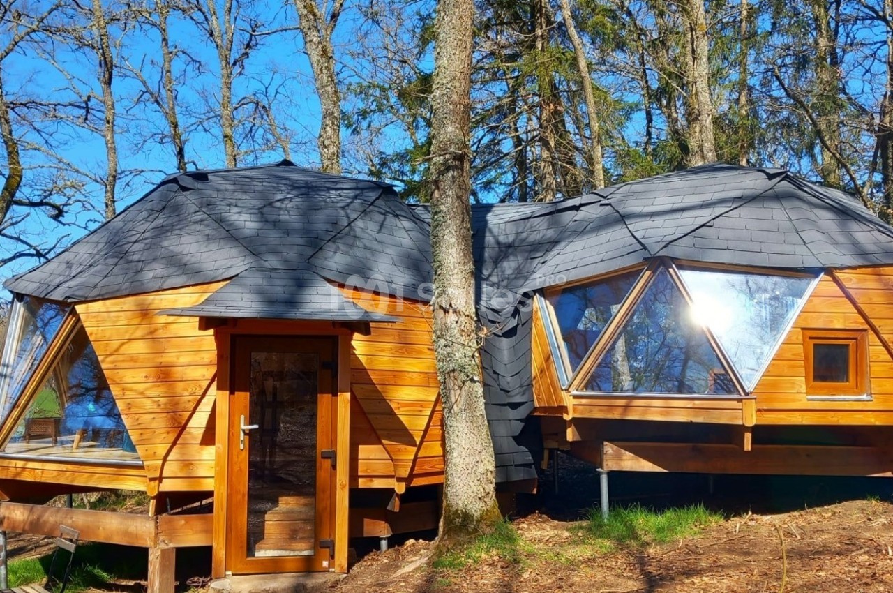 Cabane en bois avec des fenêtres géométriques, située dans une forêt ensoleillée.
