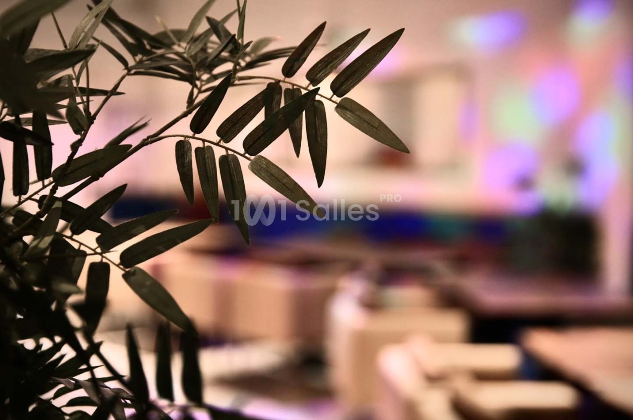 Barrio - galerie - photo 20