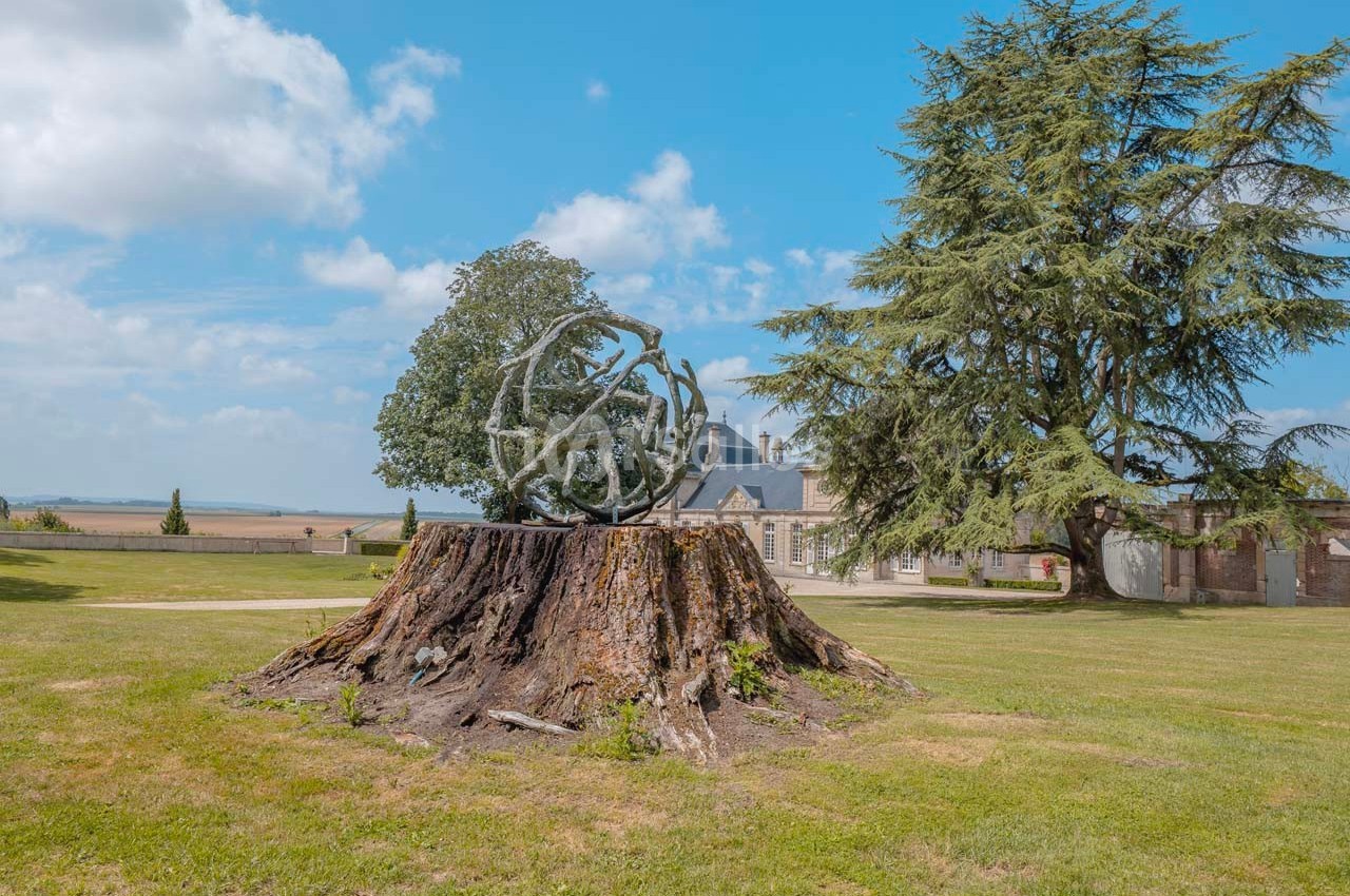 Sculpture métallique posée sur une souche d'arbre dans un parc avec pelouse, arbres et bâtiment en arrière-plan.