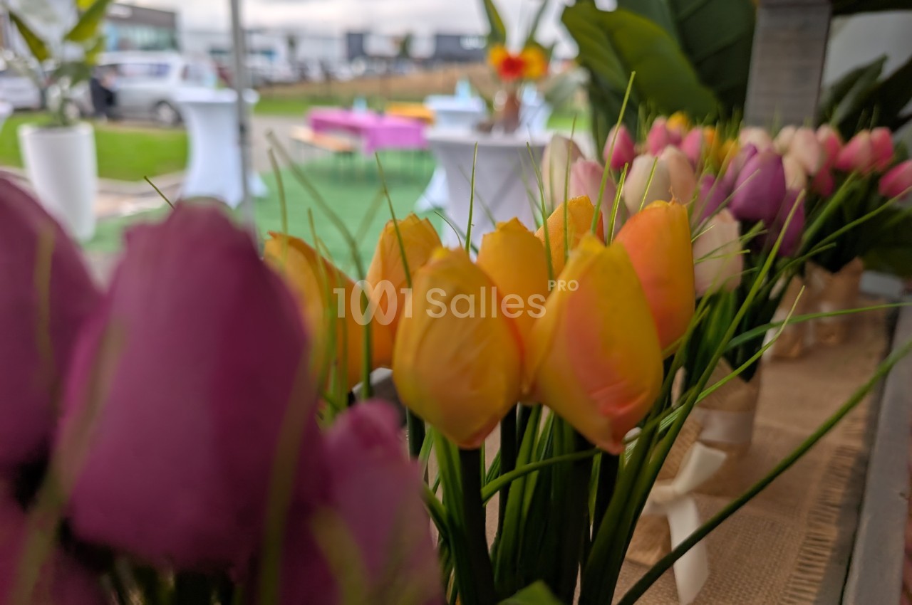 Fleurs colorées en gros plan avec un arrière-plan flou montrant des tables et un espace extérieur.