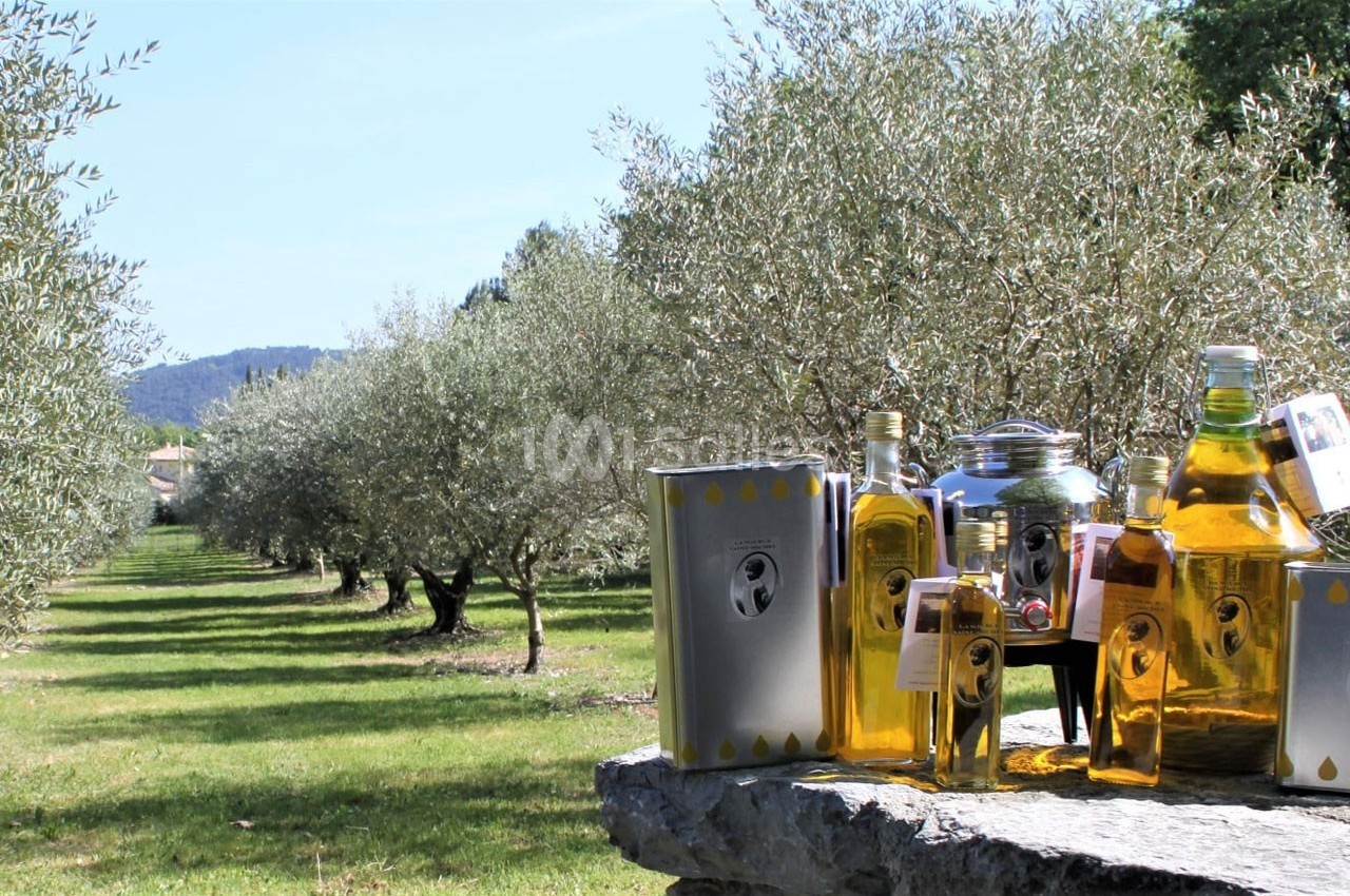 Bouteilles et bidons d'huile d'olive posés sur une pierre, avec un champ d'oliviers en arrière-plan.