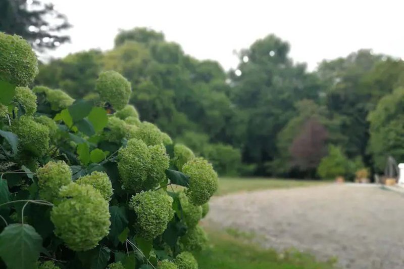 Château de St Brice - photo 5
