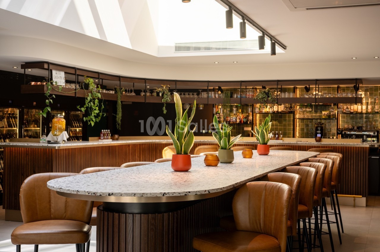 Salle lumineuse avec un grand comptoir en marbre entouré de chaises en cuir et décoré de plantes en pot.