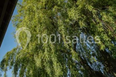 Le Clos Du Bac - photo 4