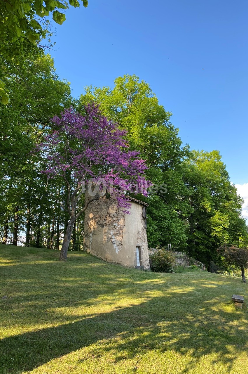Petit bâtiment en pierre entouré d'arbres, avec un arbre en fleurs roses au premier plan, sous un ciel dégagé.