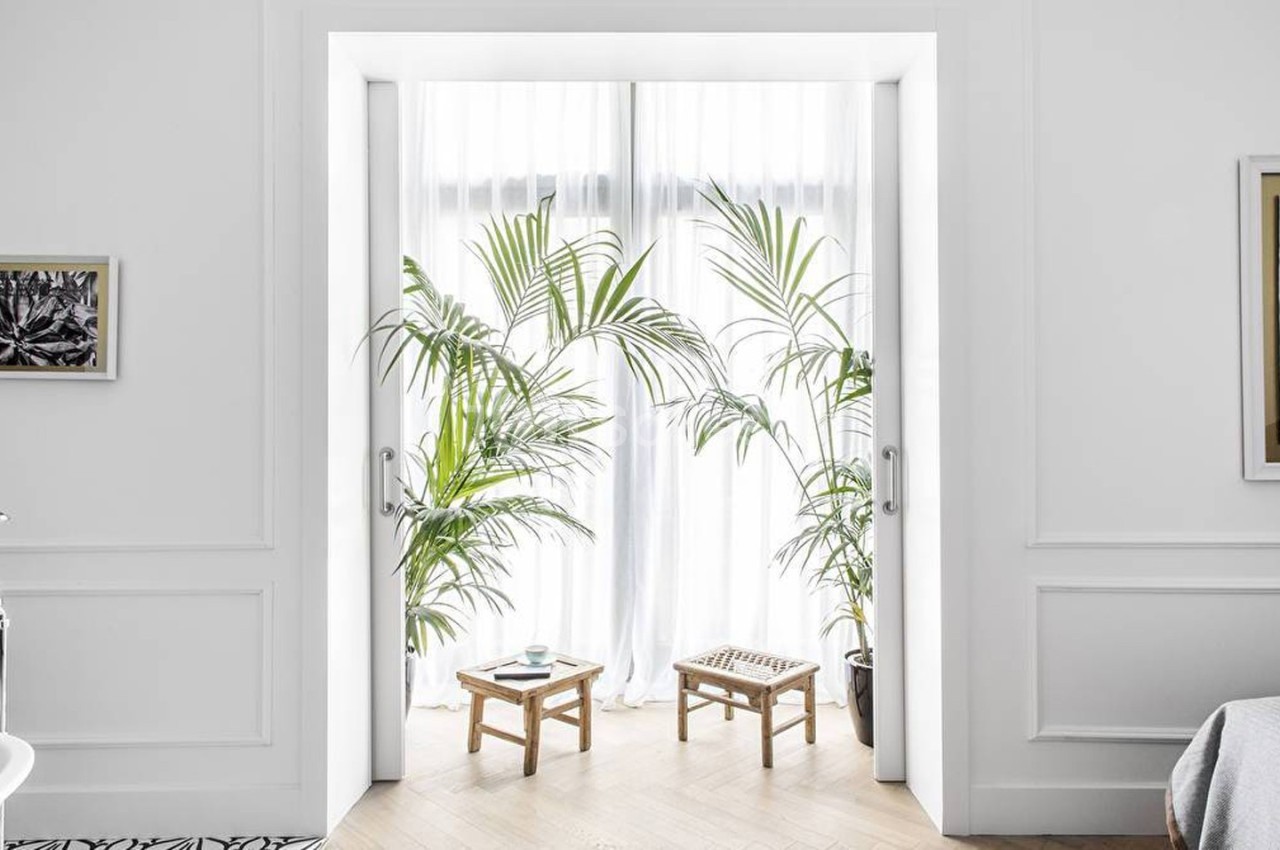 Deux plantes vertes encadrent une porte-fenêtre avec rideaux blancs, éclairant une pièce au décor minimaliste.