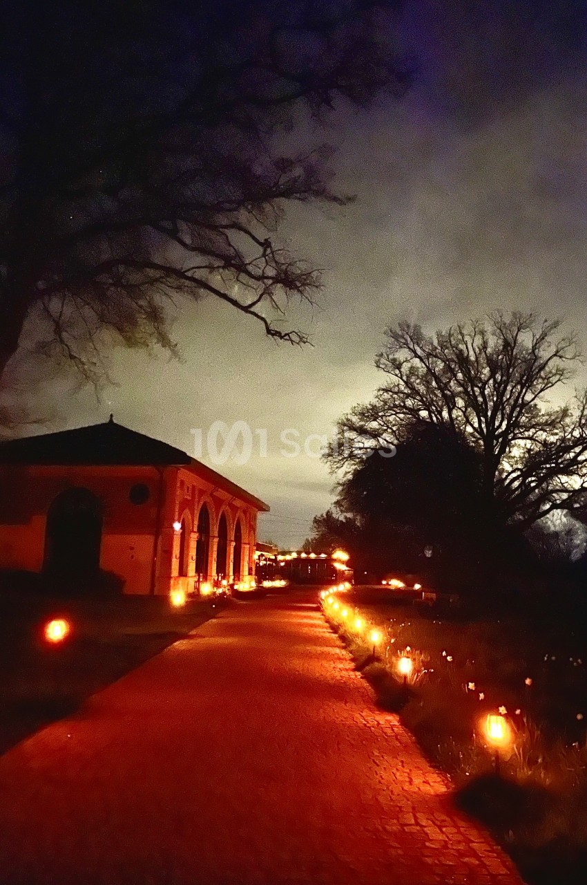 Allée pavée éclairée par des lanternes, bordée d'un bâtiment en briques et d'arbres sous un ciel nocturne.