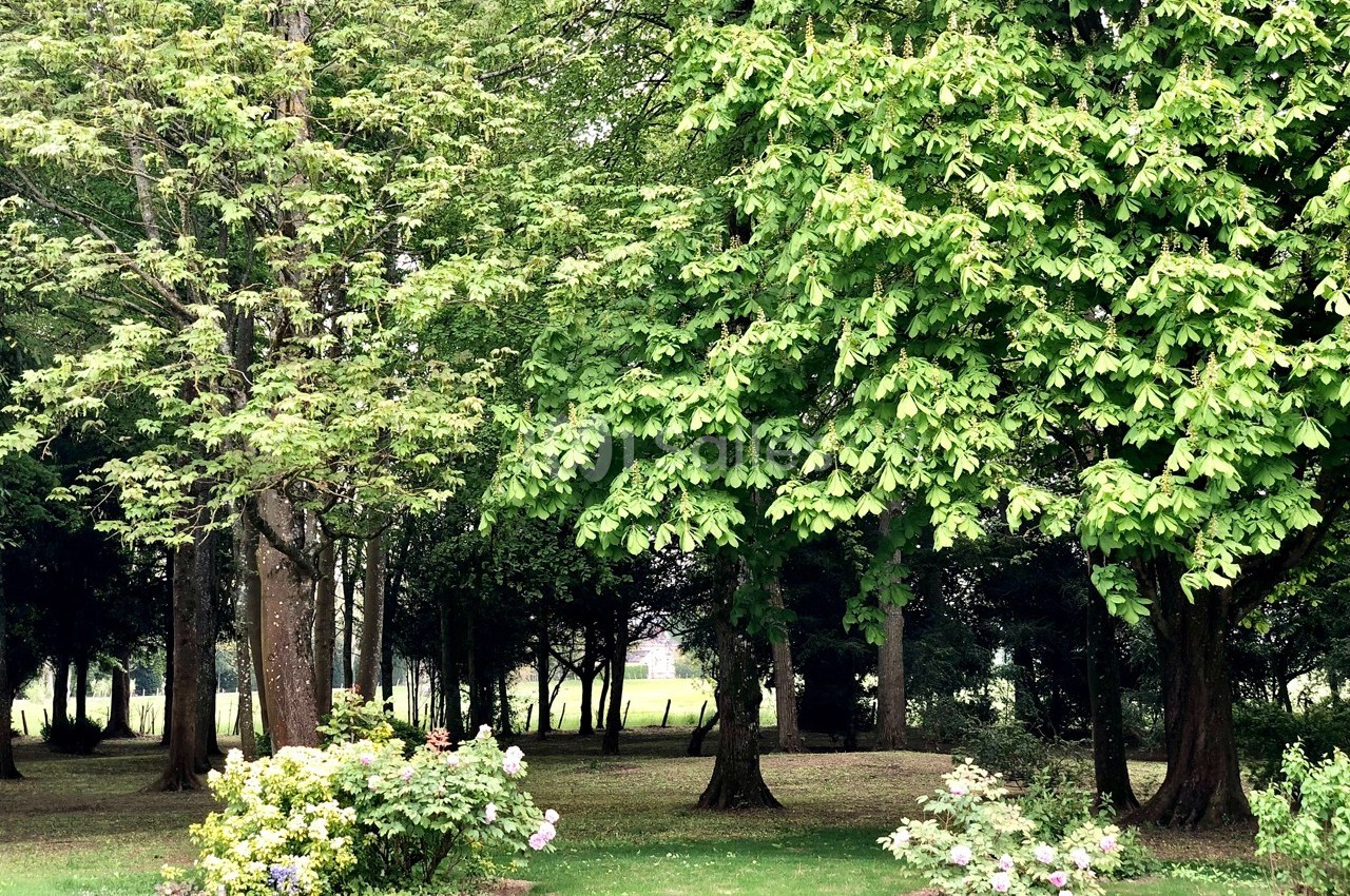 Château des Requêtes  - galerie - photo 13