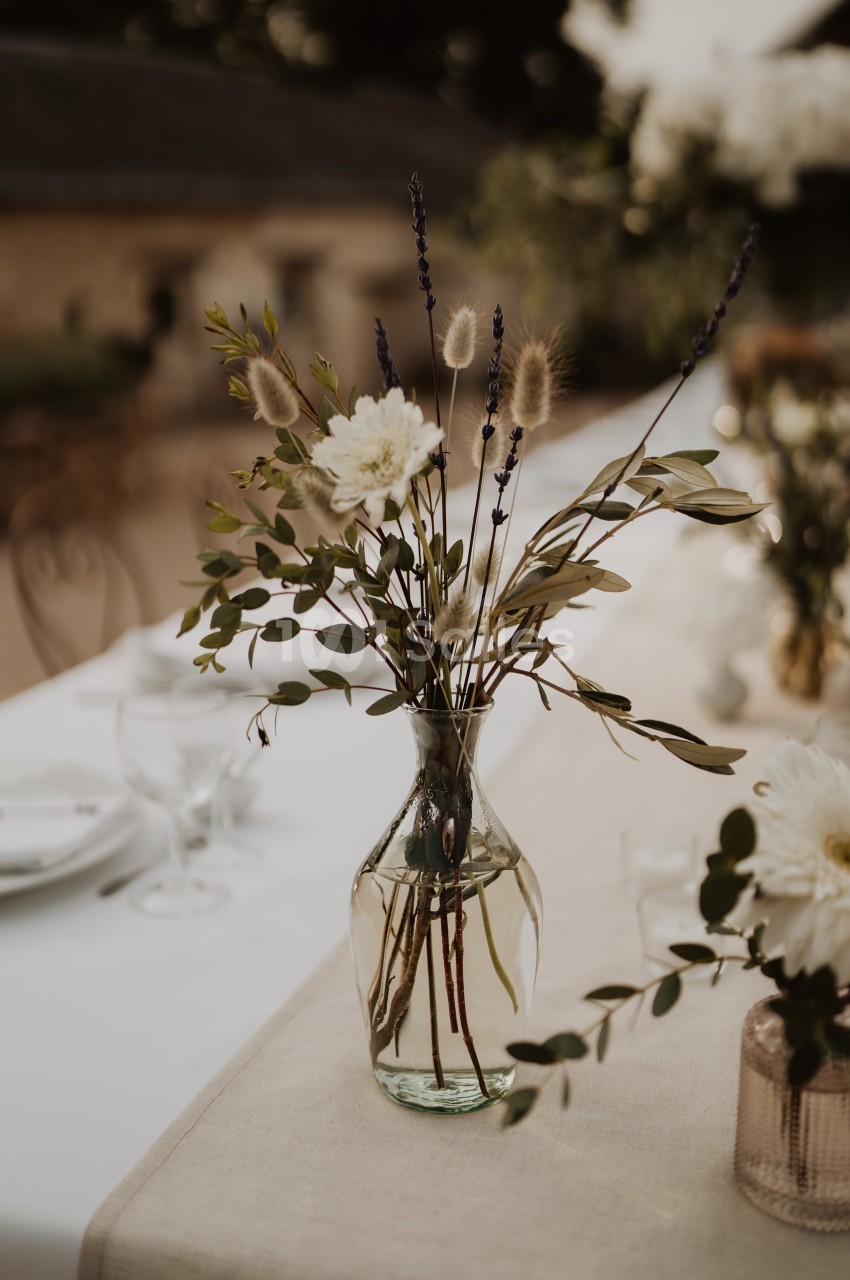 Domaine du Plessis-Jalesnes - galerie - photo 4