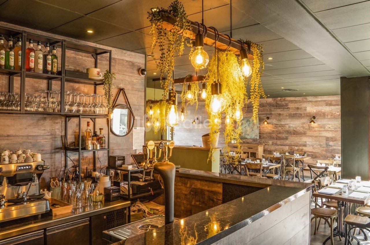 Intérieur d'un café-restaurant avec un bar en bois, des luminaires suspendus et une décoration végétale.