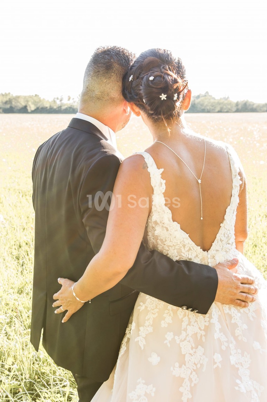 Un couple en tenue de mariage vu de dos, debout dans un champ ensoleillé.