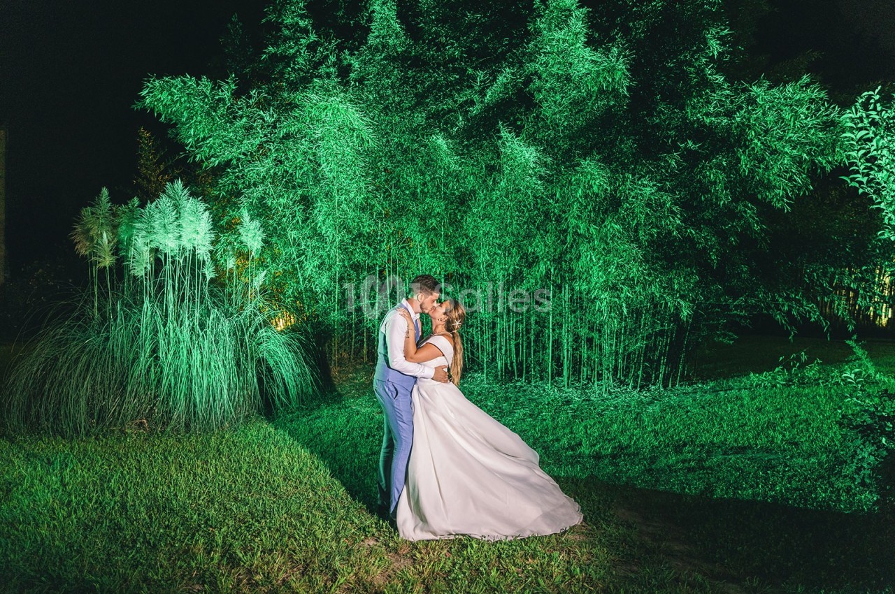 Un couple en tenue de mariage s'embrasse dans un jardin éclairé de lumières vertes, entouré de bambous.
