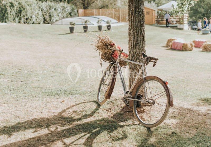 Un vélo ancien appuyé contre un arbre, décoré de fleurs et de paille, dans un espace extérieur ensoleillé.