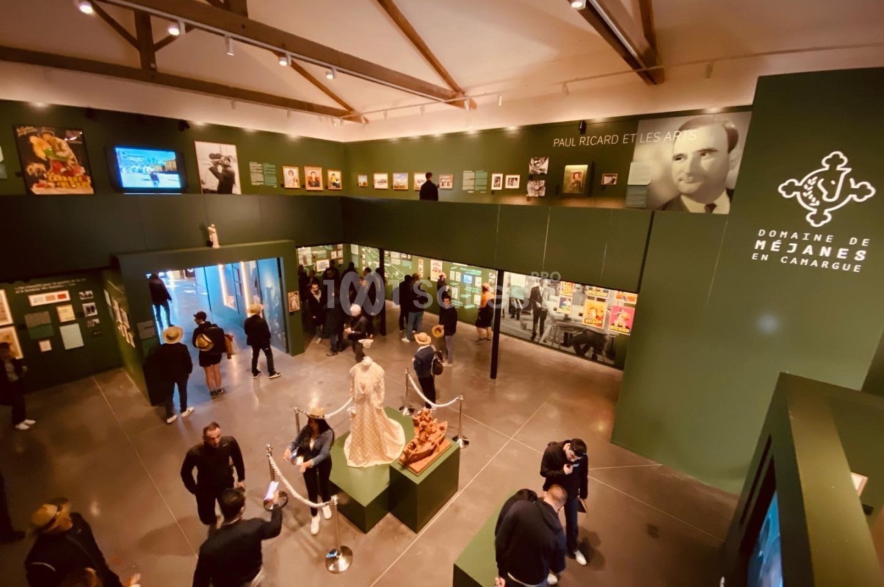Salle d'exposition avec des visiteurs, affiches, vitrines et objets liés à l'histoire du domaine de Méjanes en Camargue.
