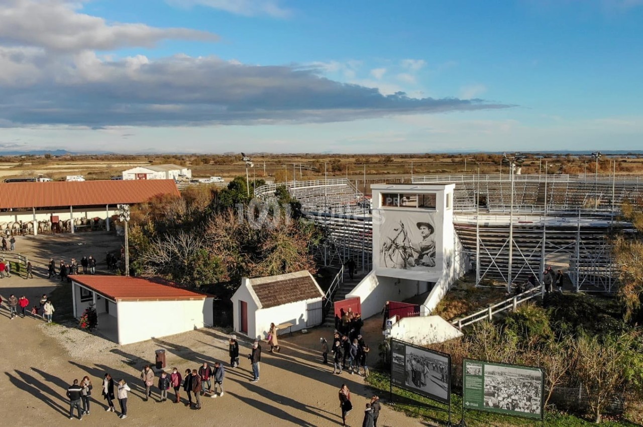 Vue aérienne d'une arène en plein air entourée de bâtiments, avec des visiteurs se promenant dans un espace dégagé.