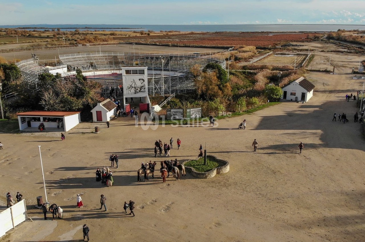 Vue aérienne d'une arène entourée de bâtiments et de végétation, avec des groupes de personnes et des chevaux au premier…