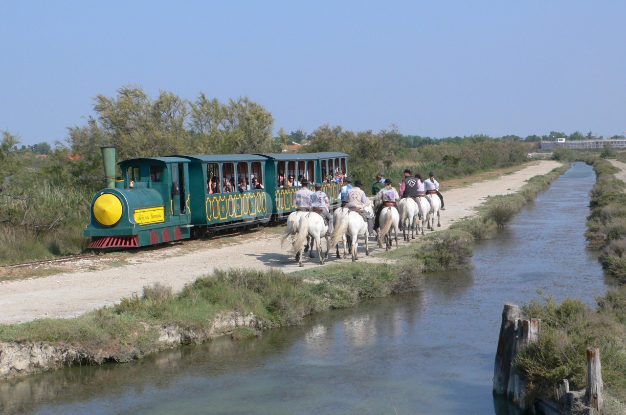 Petit train touristique vert longeant un canal, suivi par un groupe de cavaliers sur des chevaux blancs en pleine nature.