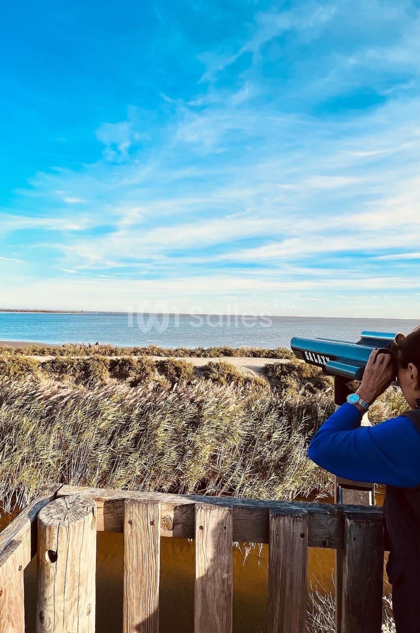 Une personne observe un paysage naturel avec des jumelles depuis une plateforme en bois, face à un étang et des roseaux.