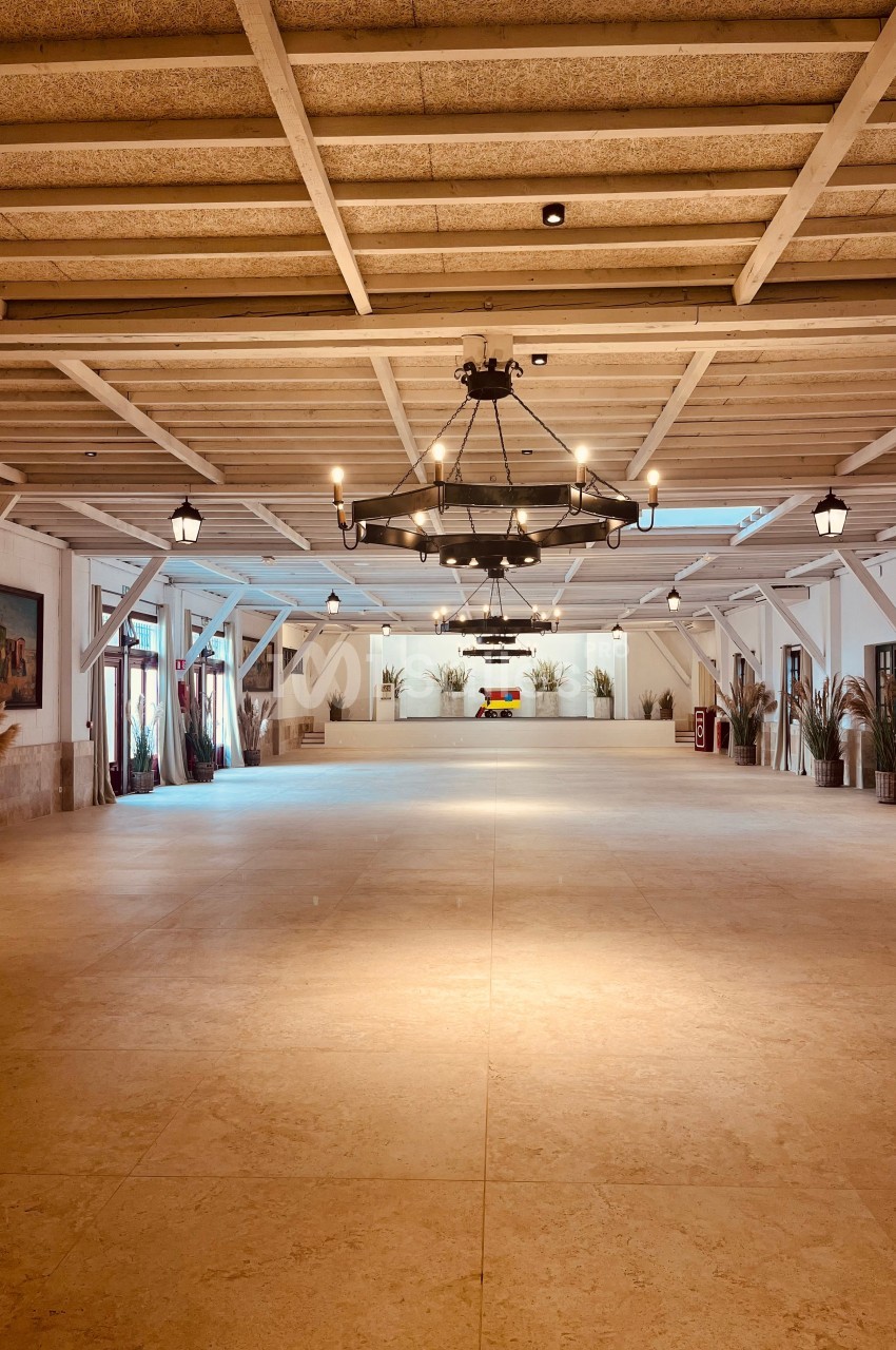 Grande salle vide avec un sol en pierre, plafond en bois avec poutres apparentes et lustres suspendus, décorée de plantes.