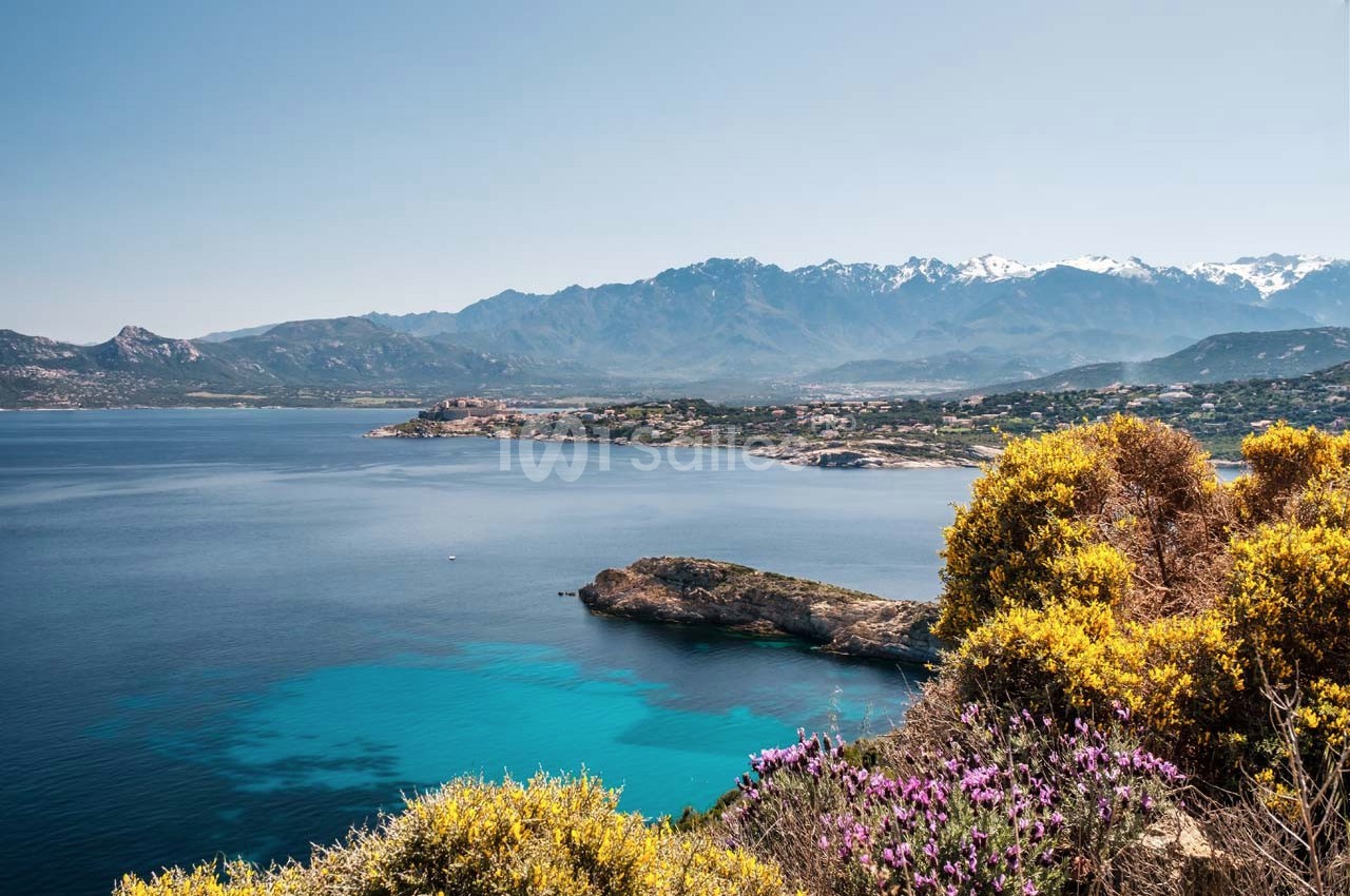 Vue d'une côte méditerranéenne avec eau turquoise, végétation fleurie au premier plan et montagnes en arrière-plan.