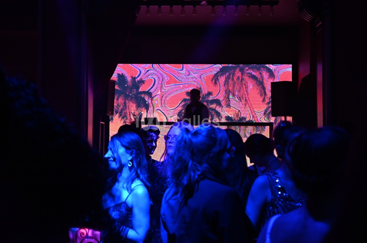 Personnes dansant dans une salle sombre avec un DJ devant un écran lumineux affichant des palmiers colorés.