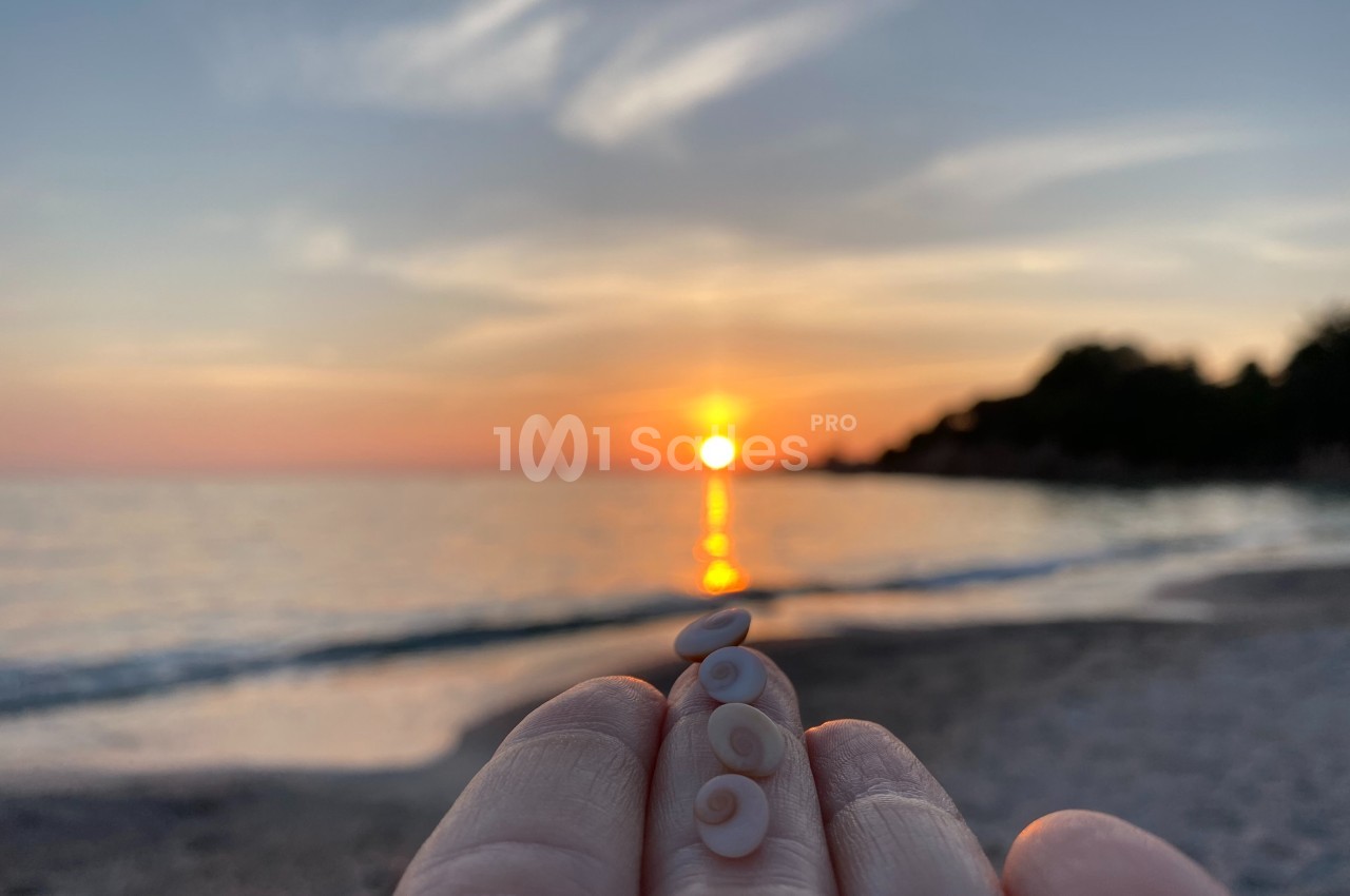 Coquillages en spirale tenus dans une main devant un coucher de soleil sur une plage.