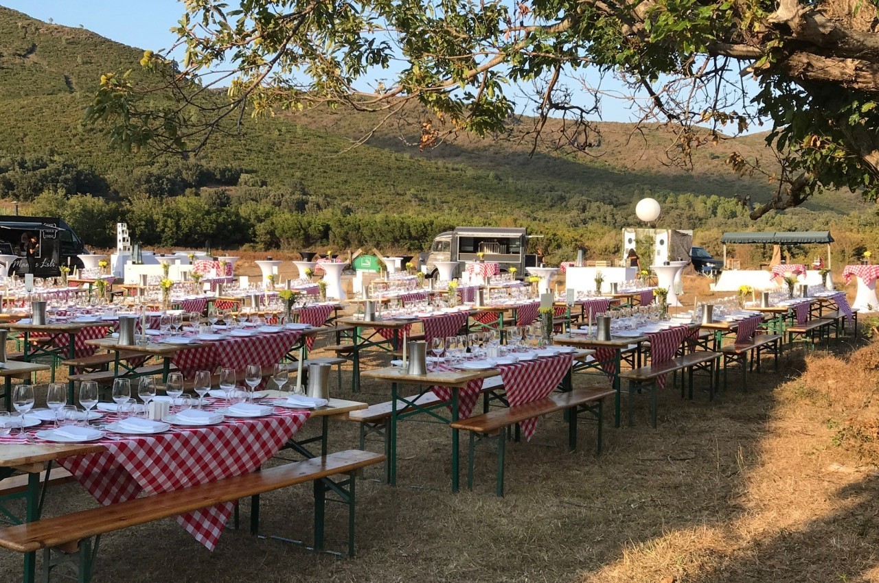 Tables de banquet en plein air avec nappes à carreaux rouges et blanches, disposées sous un arbre dans un cadre champêtre.