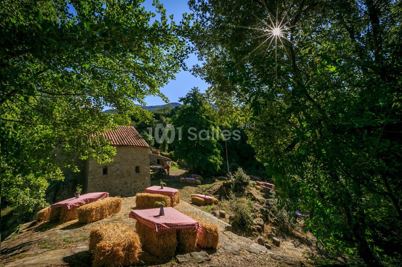 Tables en plein air avec nappes rouges posées sur des bottes de foin, entourées de verdure et éclairées par le soleil.