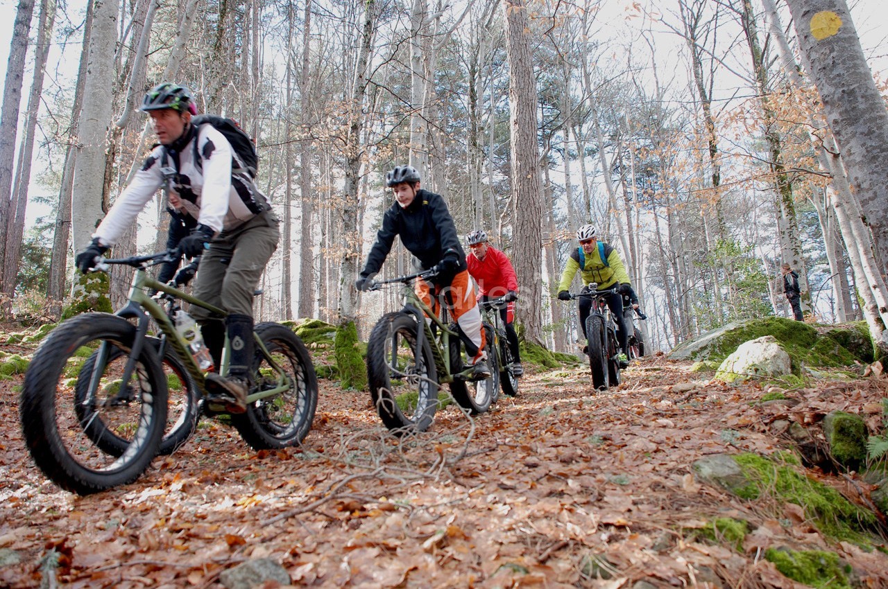 Groupe de cyclistes traversant une forêt sur des vélos tout-terrain, entourés de feuilles mortes et d'arbres.
