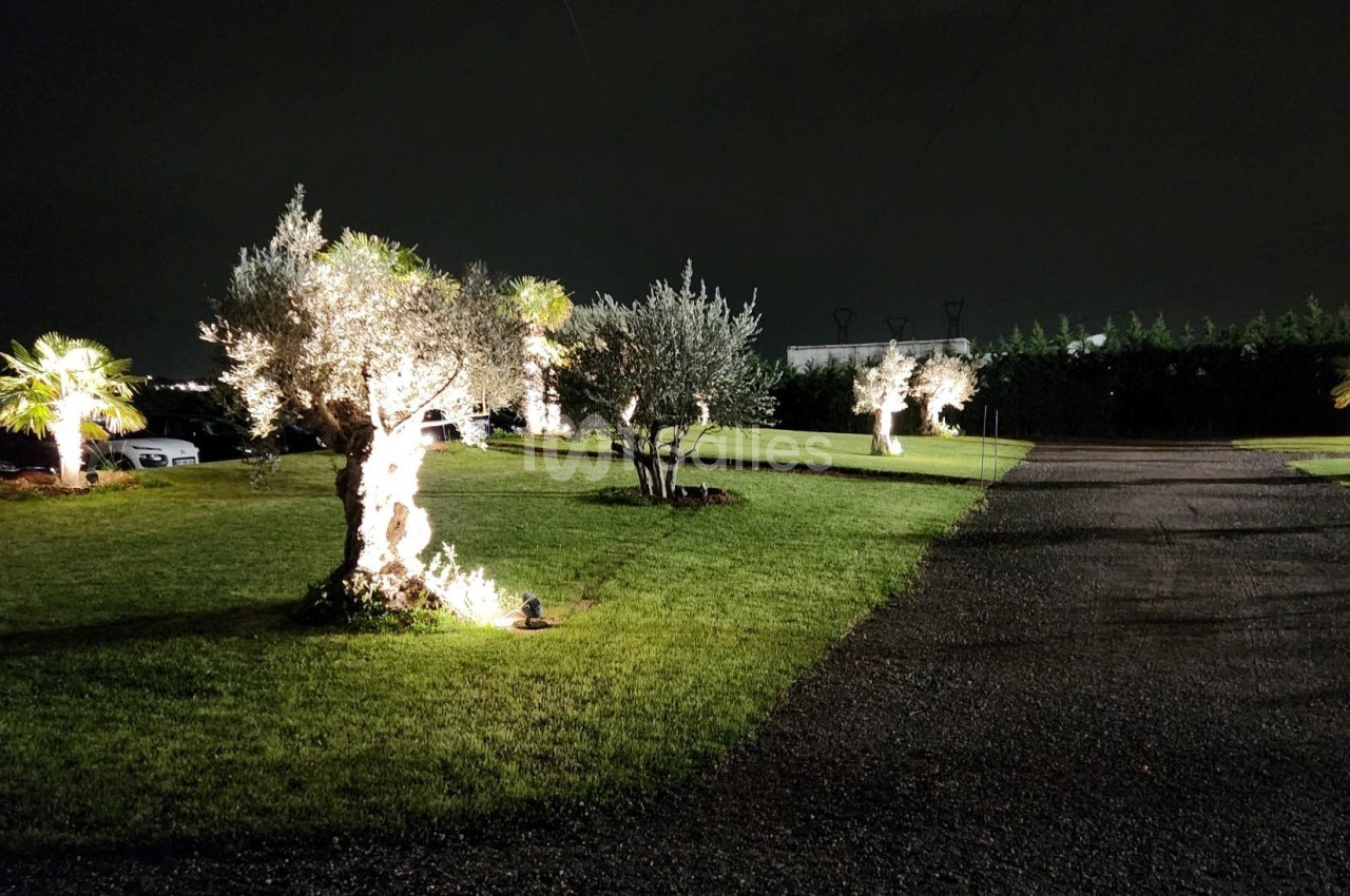 Allée de gravier bordée d'arbres illuminés sur une pelouse, de nuit, avec un bâtiment visible à droite.