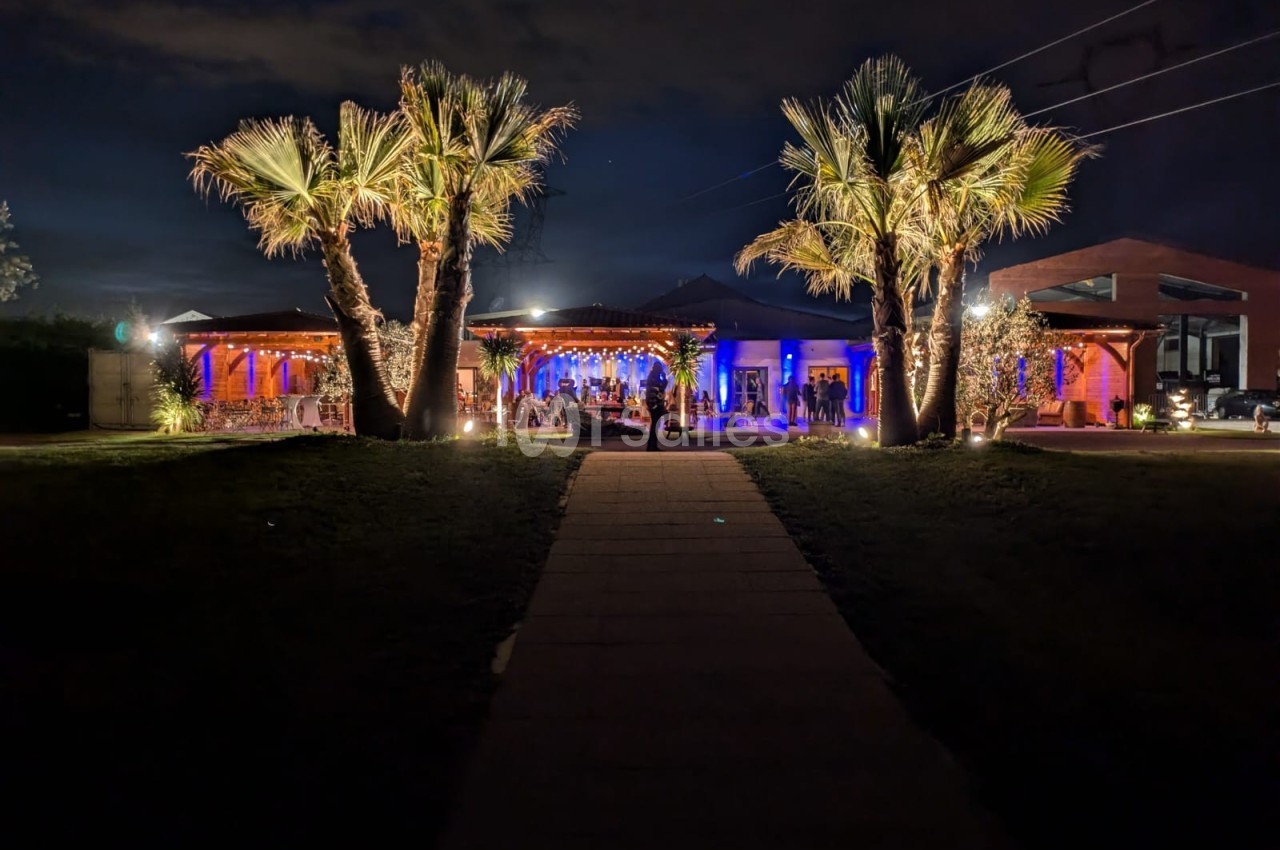 Allée menant à un bâtiment éclairé de lumières colorées, entouré de palmiers dans un cadre nocturne.