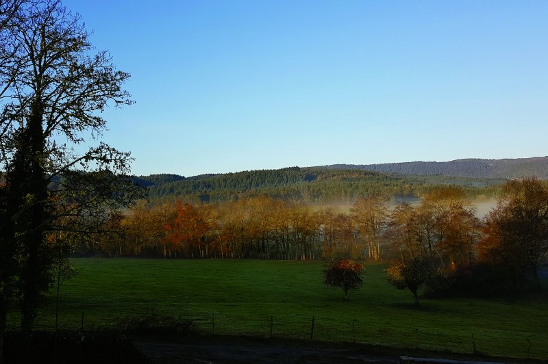 Château de Riols - photo 5