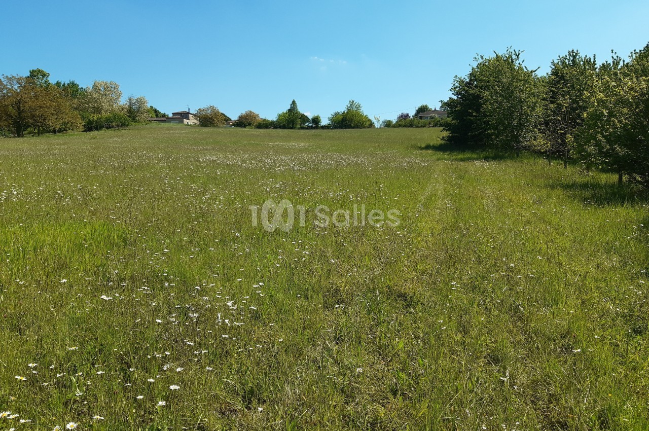 Domaine du Petit Colombier - galerie - photo 31