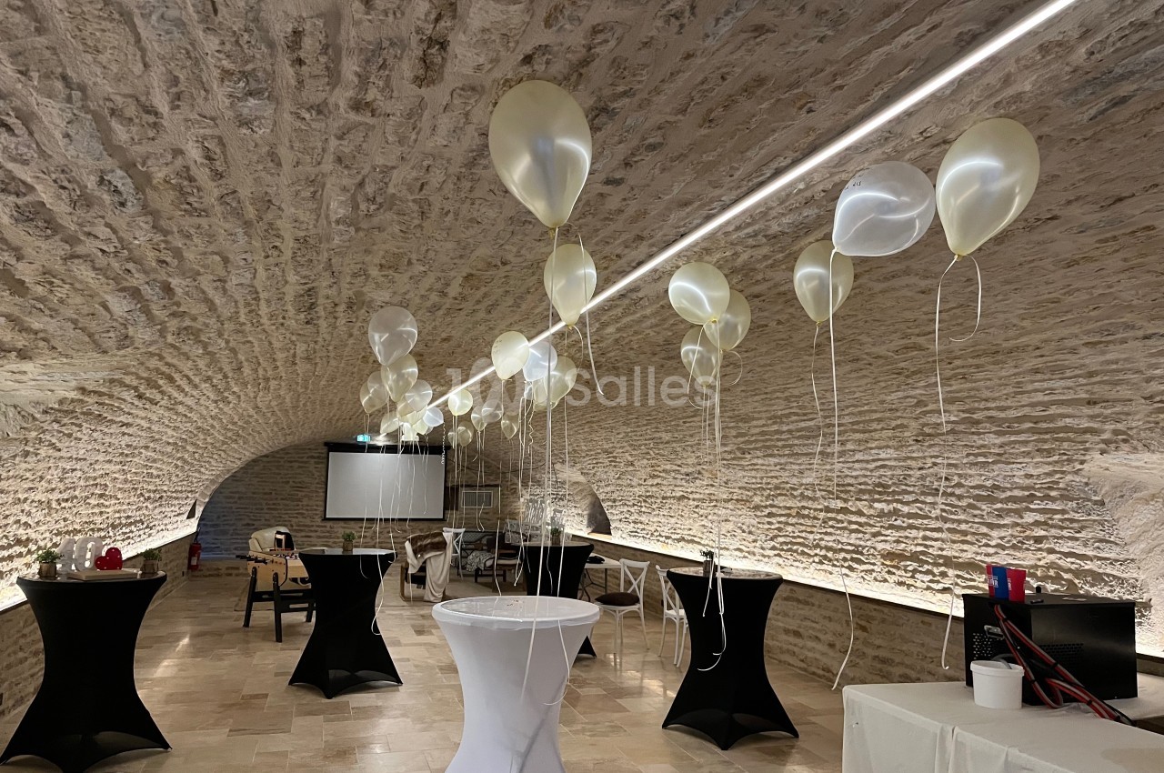 Château du Mauny - galerie - photo 29