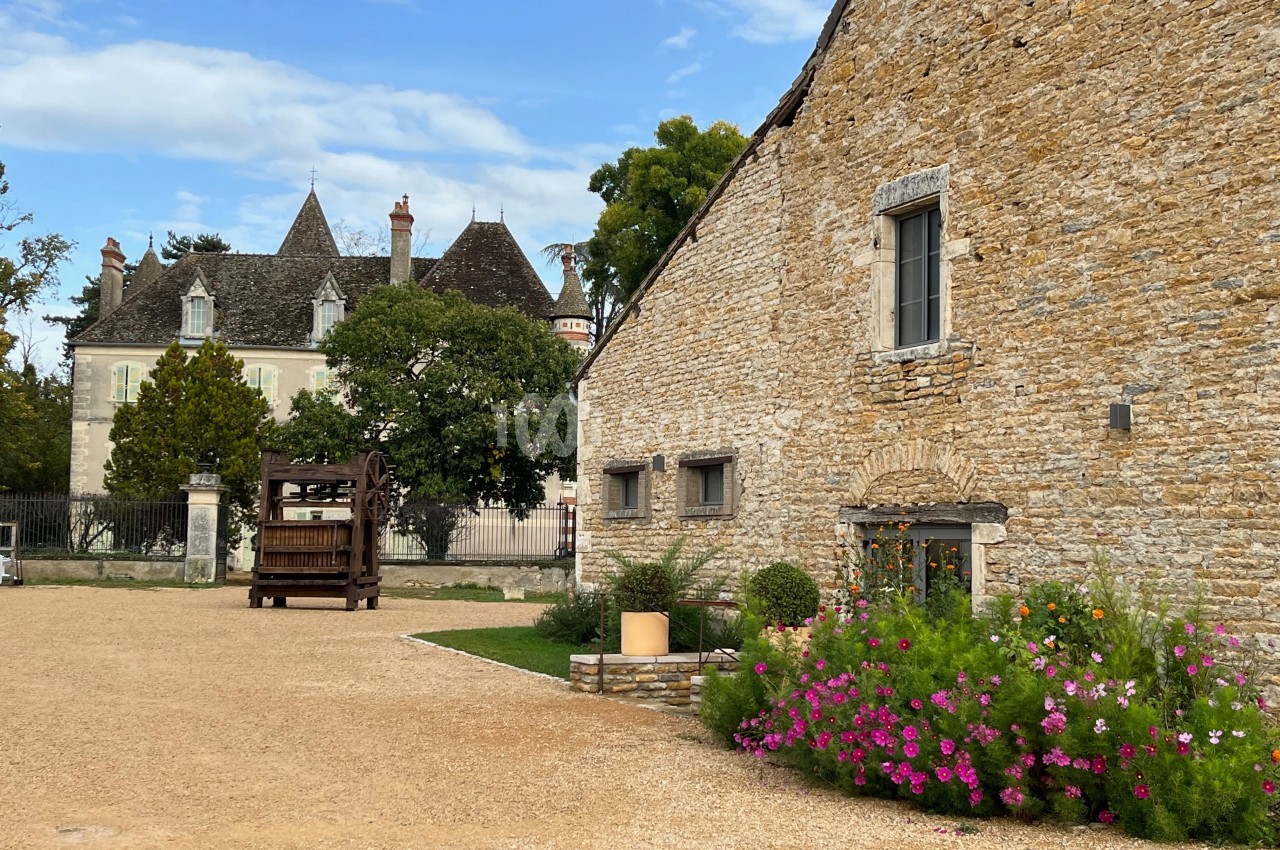Château du Mauny - galerie - photo 19