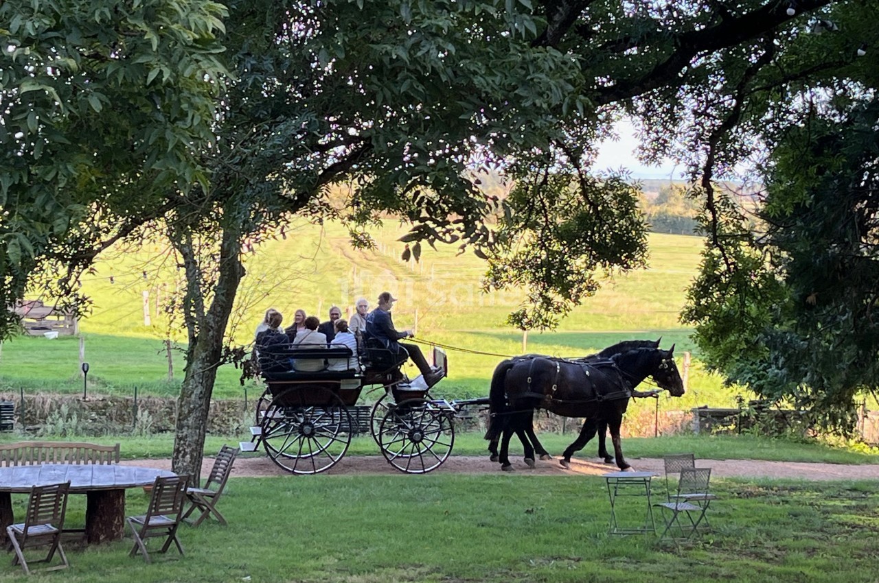Château du Mauny - galerie - photo 22