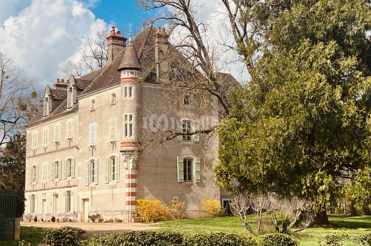 Château du Mauny - galerie - photo 1